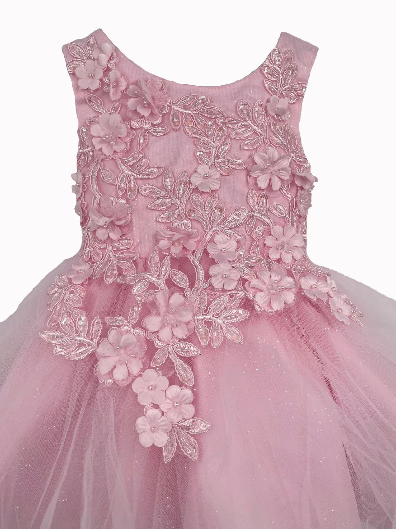Baby Girls Pink 3D Floral Lace Flower Girl Dress 6-24M