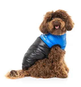 East Harlem Puffer Jacket - Blue - SPECIAL OFFER!