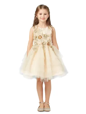Little Girls Champagne Lace Layered Tulle Pageant Easter Dress 2-6
