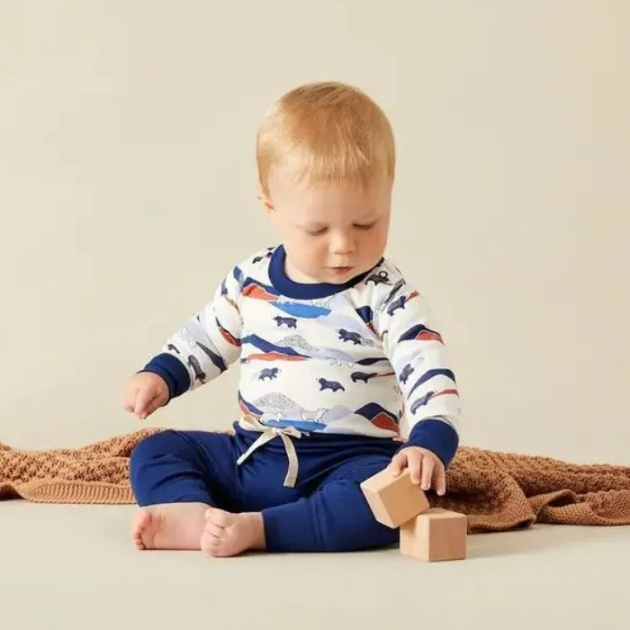 Organic Baby Bodysuit - Mountain Bears